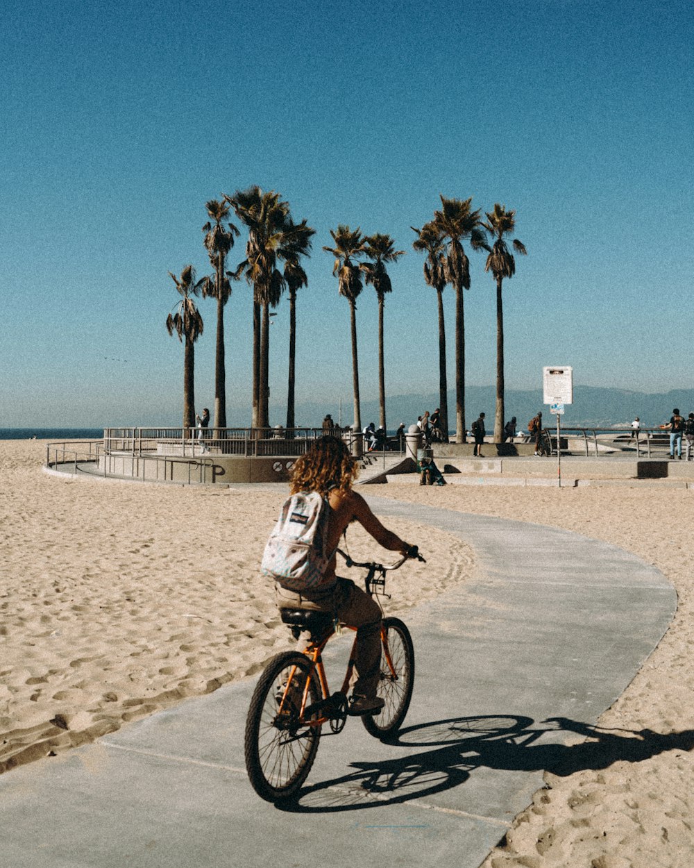 a woman riding a bike down a sidewalk next to palm trees