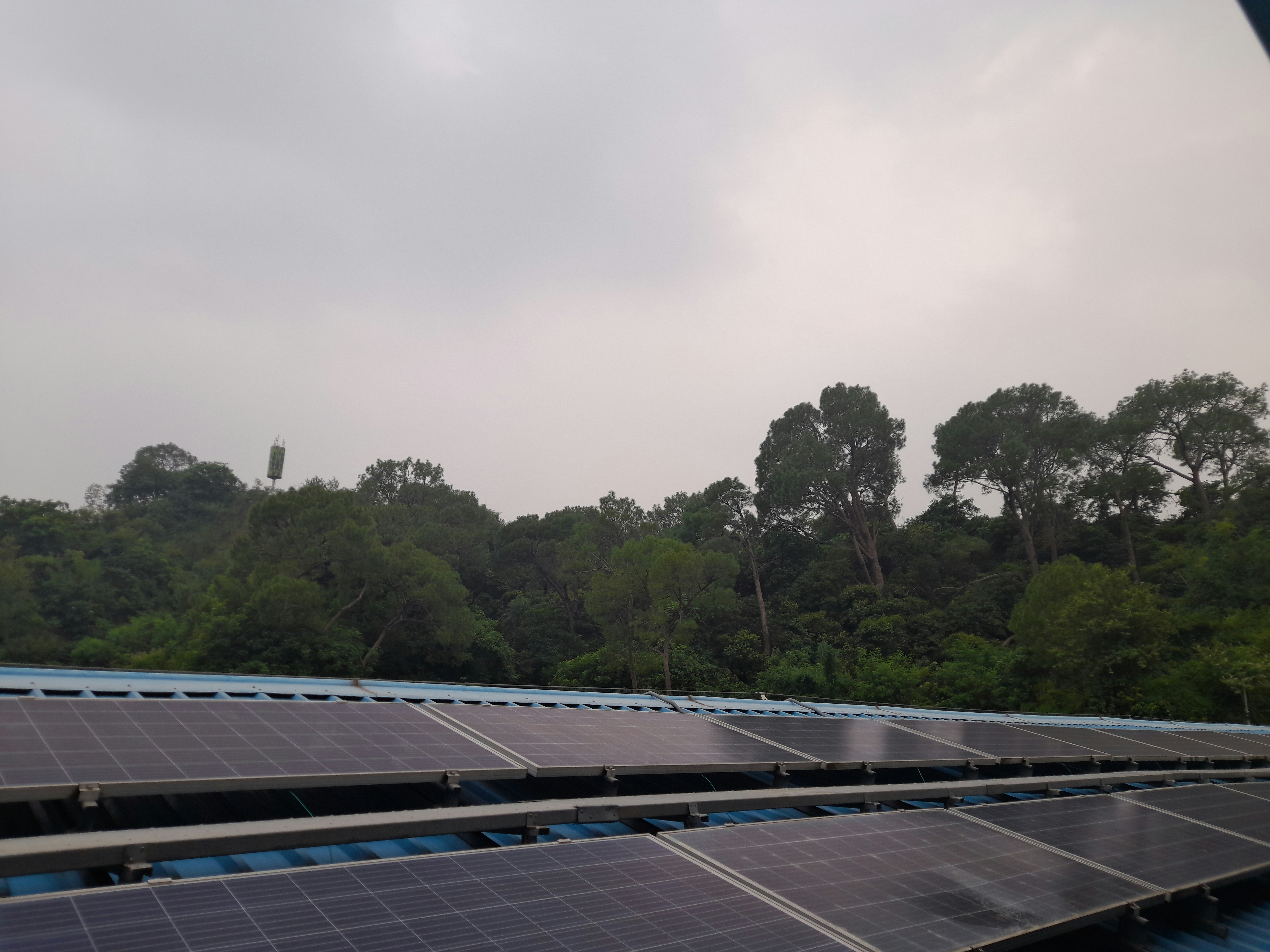 A series of solar panels is installed on a roof in the foreground, while a dense forest of tall trees creates a natural backdrop. The sky is overcast, giving the scene a muted lighting.