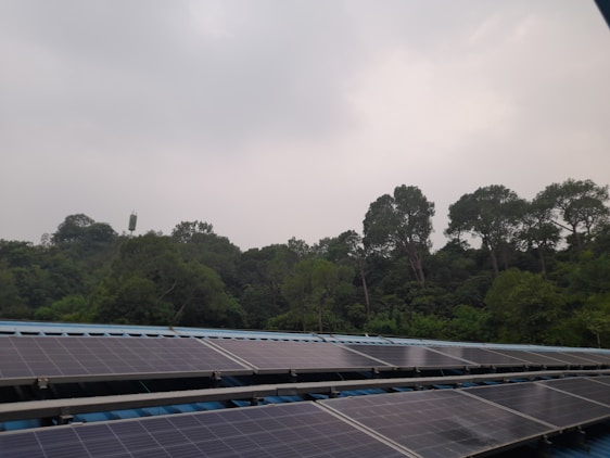 A team of engineers installing solar panels on a remote rural home surrounded by lush Amazonian forest.