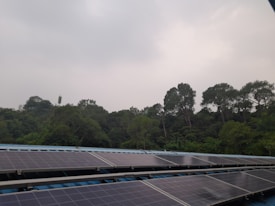 A series of solar panels is installed on a roof in the foreground, while a dense forest of tall trees creates a natural backdrop. The sky is overcast, giving the scene a muted lighting.
