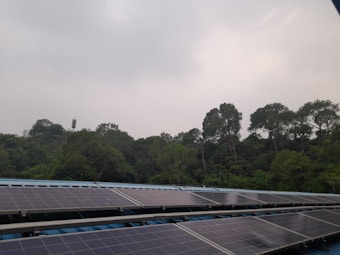 A series of solar panels is installed on a roof in the foreground, while a dense forest of tall trees creates a natural backdrop. The sky is overcast, giving the scene a muted lighting.