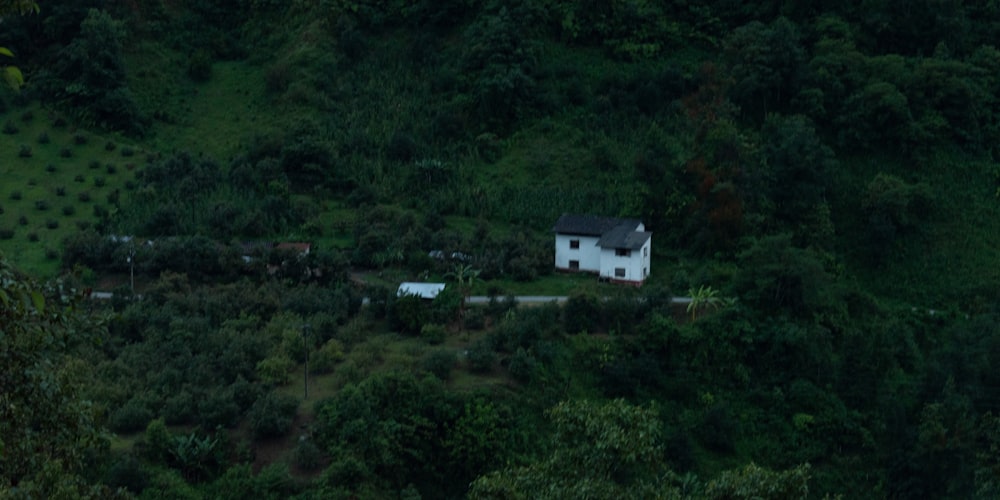 a white house sitting on top of a lush green hillside