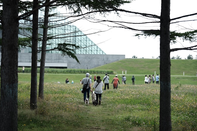A group of diverse people walking in a lush green park.