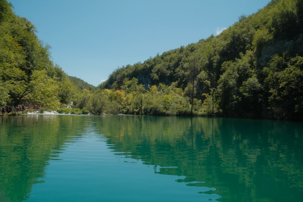 a body of water surrounded by a forest