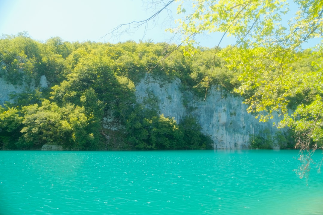 a large body of water surrounded by trees,