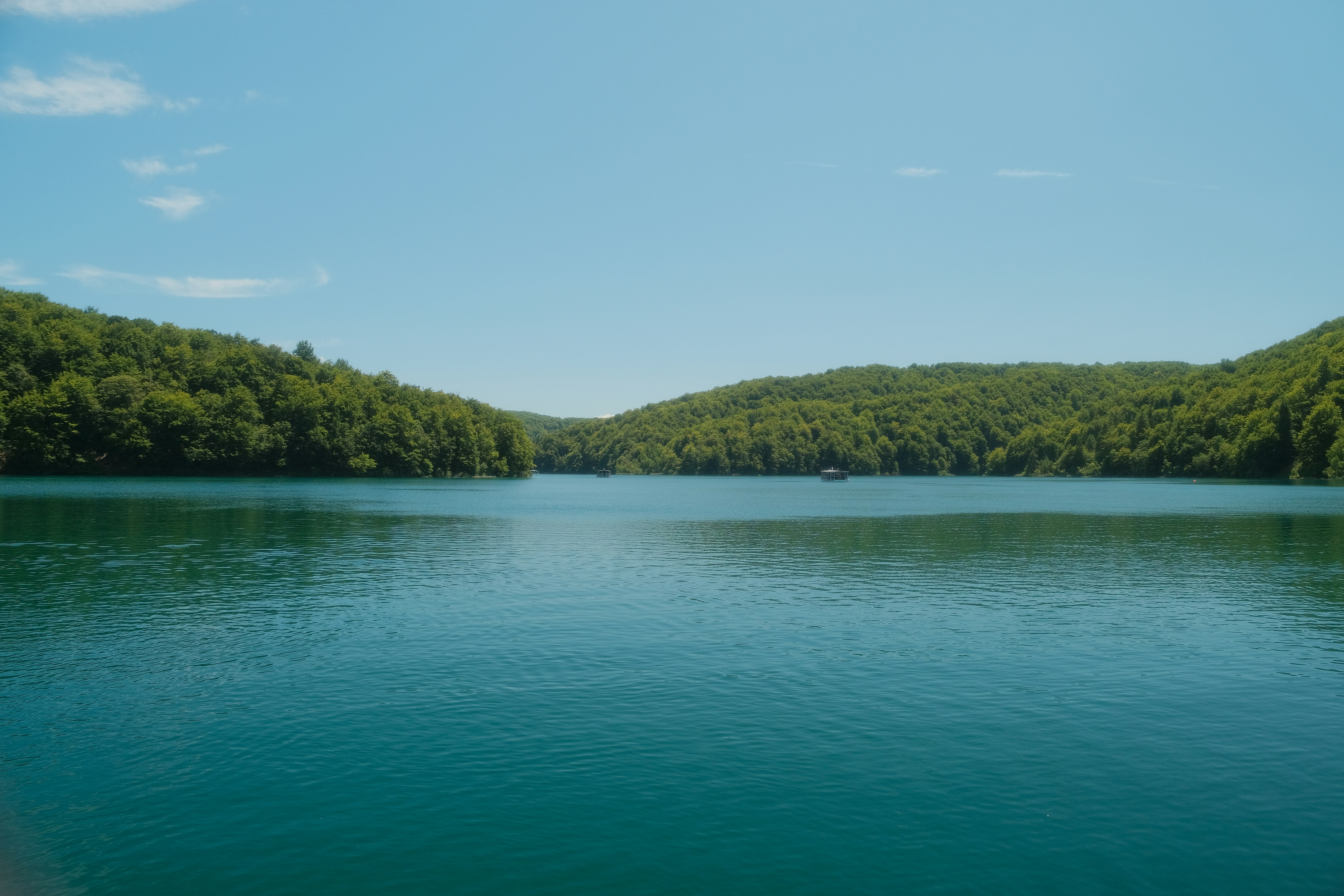 A large body of water surrounded by trees