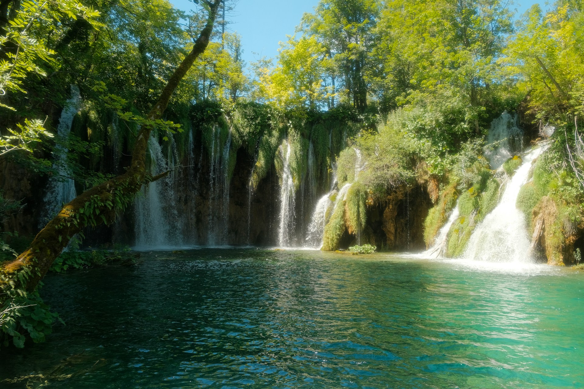 A serene waterfall cascading into a crystal-clear pool surrounded by lush green rainforest, with a wooden trail leading towards it.