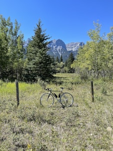 Trailblazer MTB