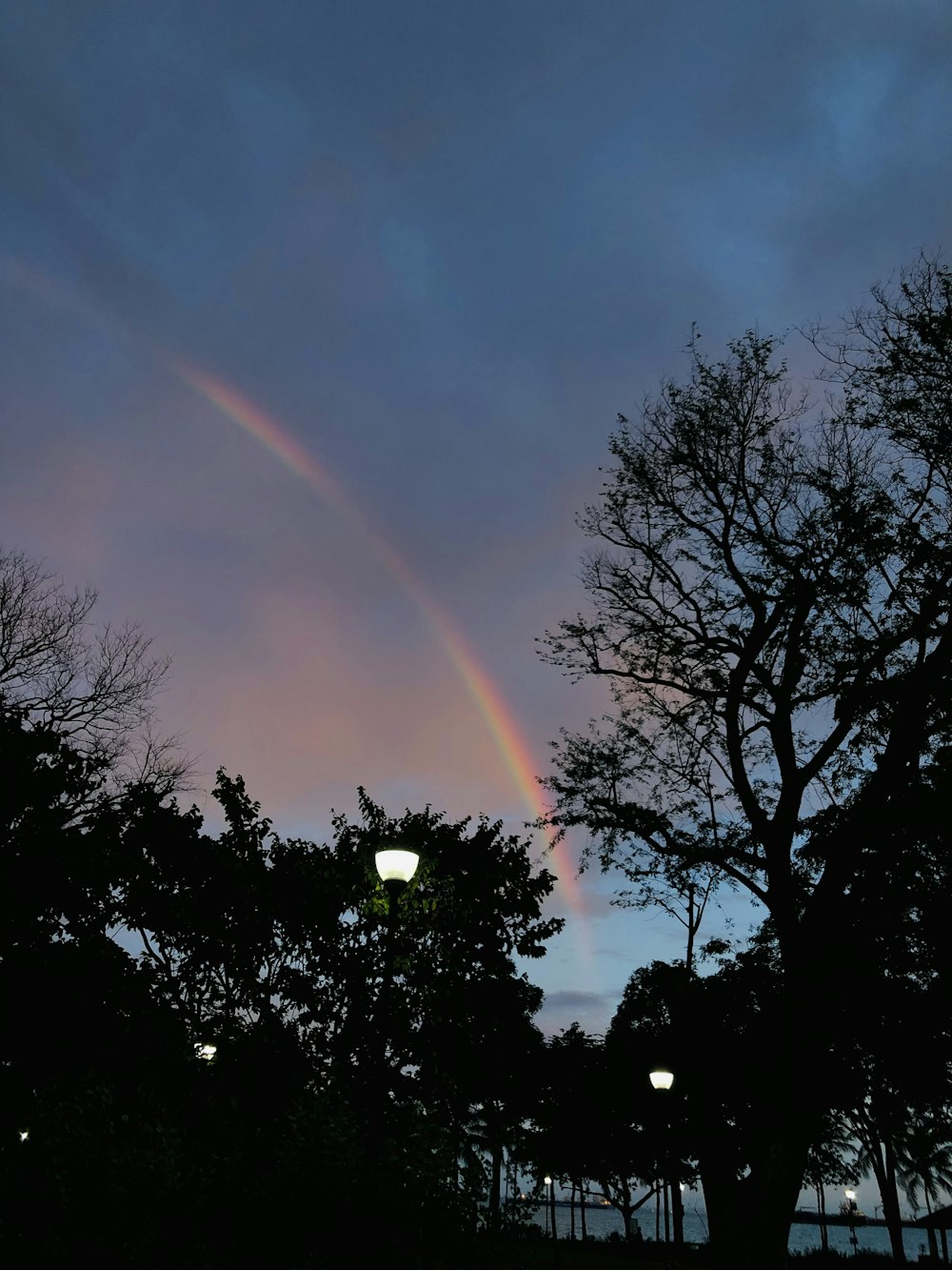 a rainbow is seen in the sky above some trees