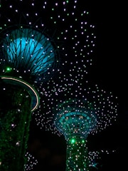 Enormous tree-like structures illuminated with vibrant green and blue lights against a dark night sky. The canopies are covered with small glowing dots resembling stars, creating a futuristic and magical atmosphere.