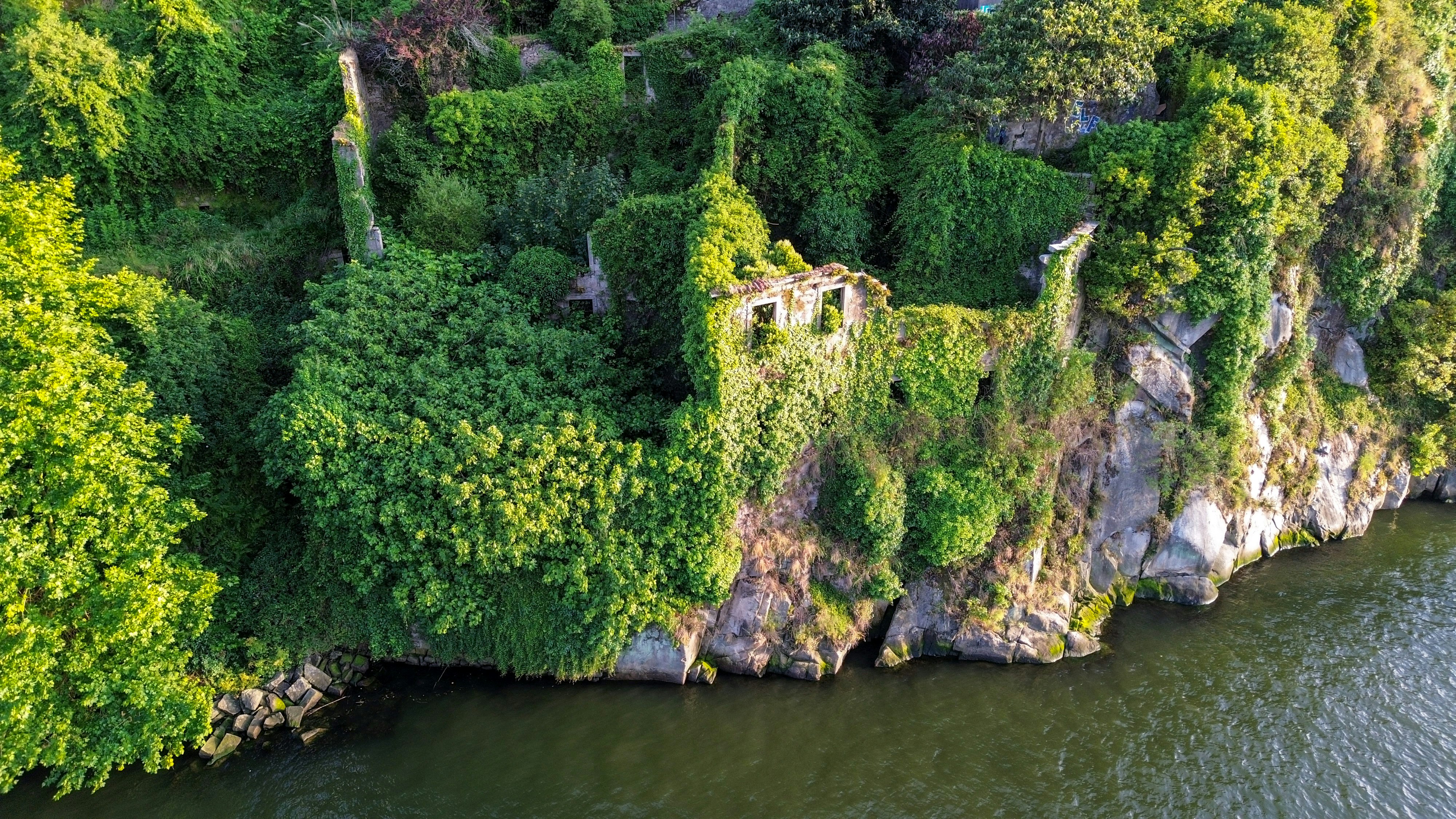 Luftaufnahme eines Flusses, der von Bäumen umgeben ist