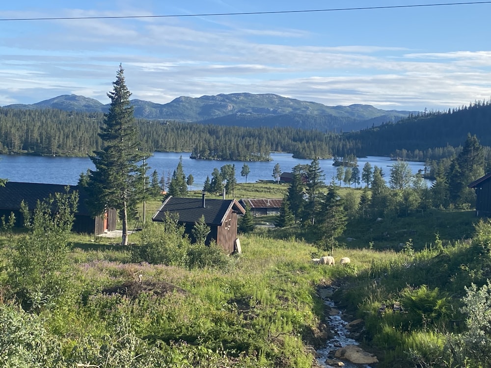 a house in the middle of a field with mountains in the background