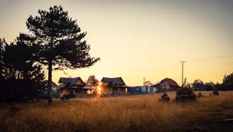 Traditional wooden houses nestled in a serene rural landscape at golden hour.