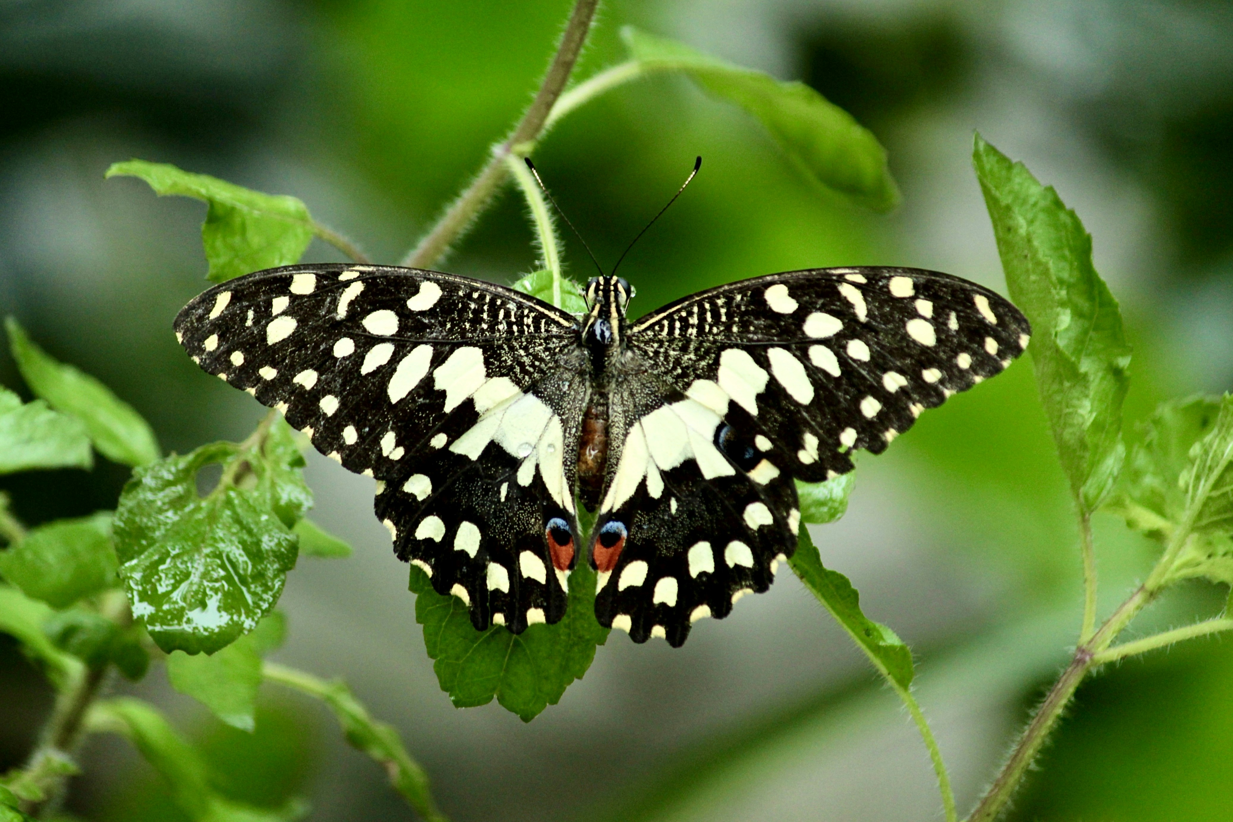 Photo by the_infinity_pictures