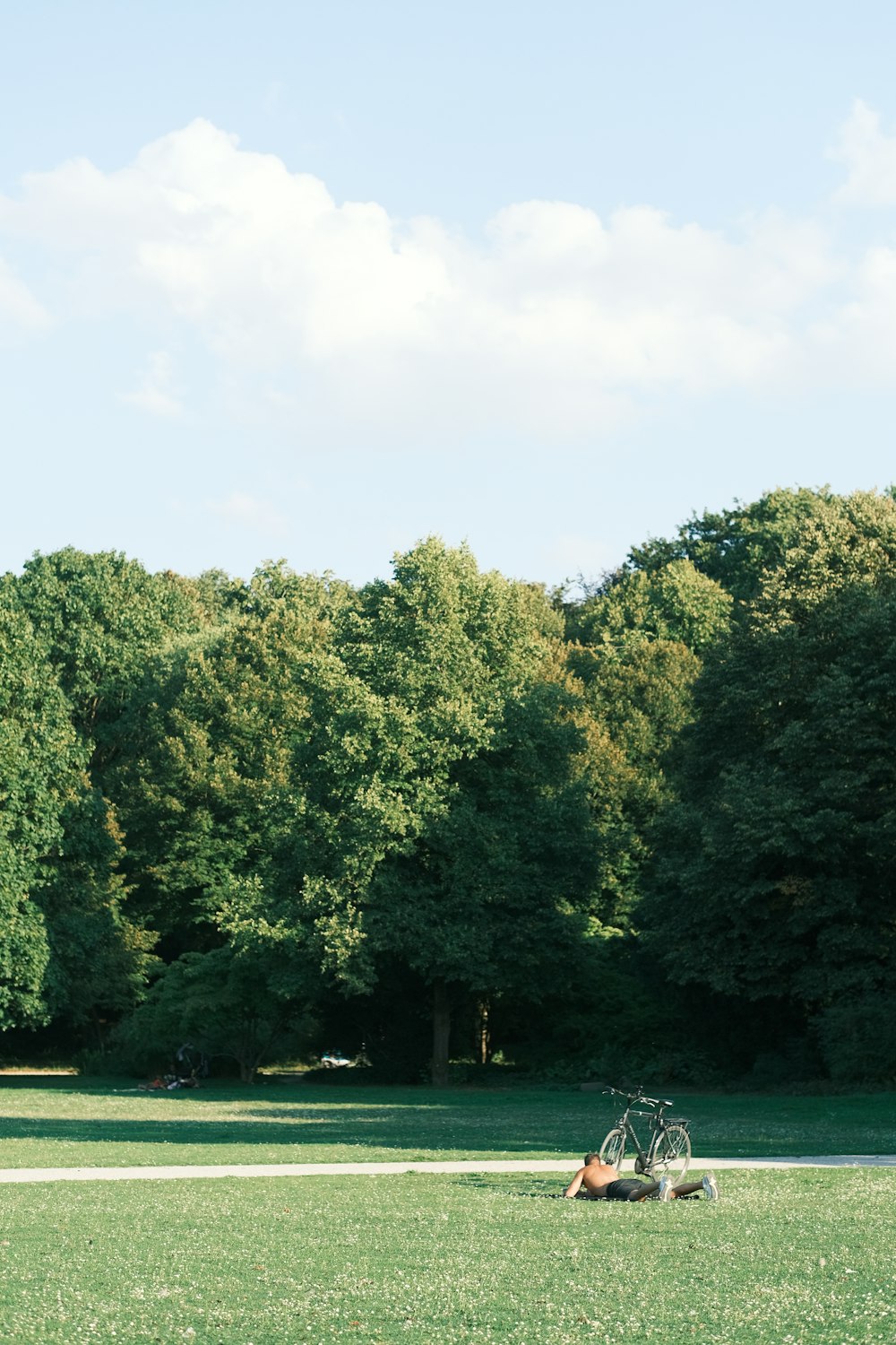 a person laying on the ground in a field