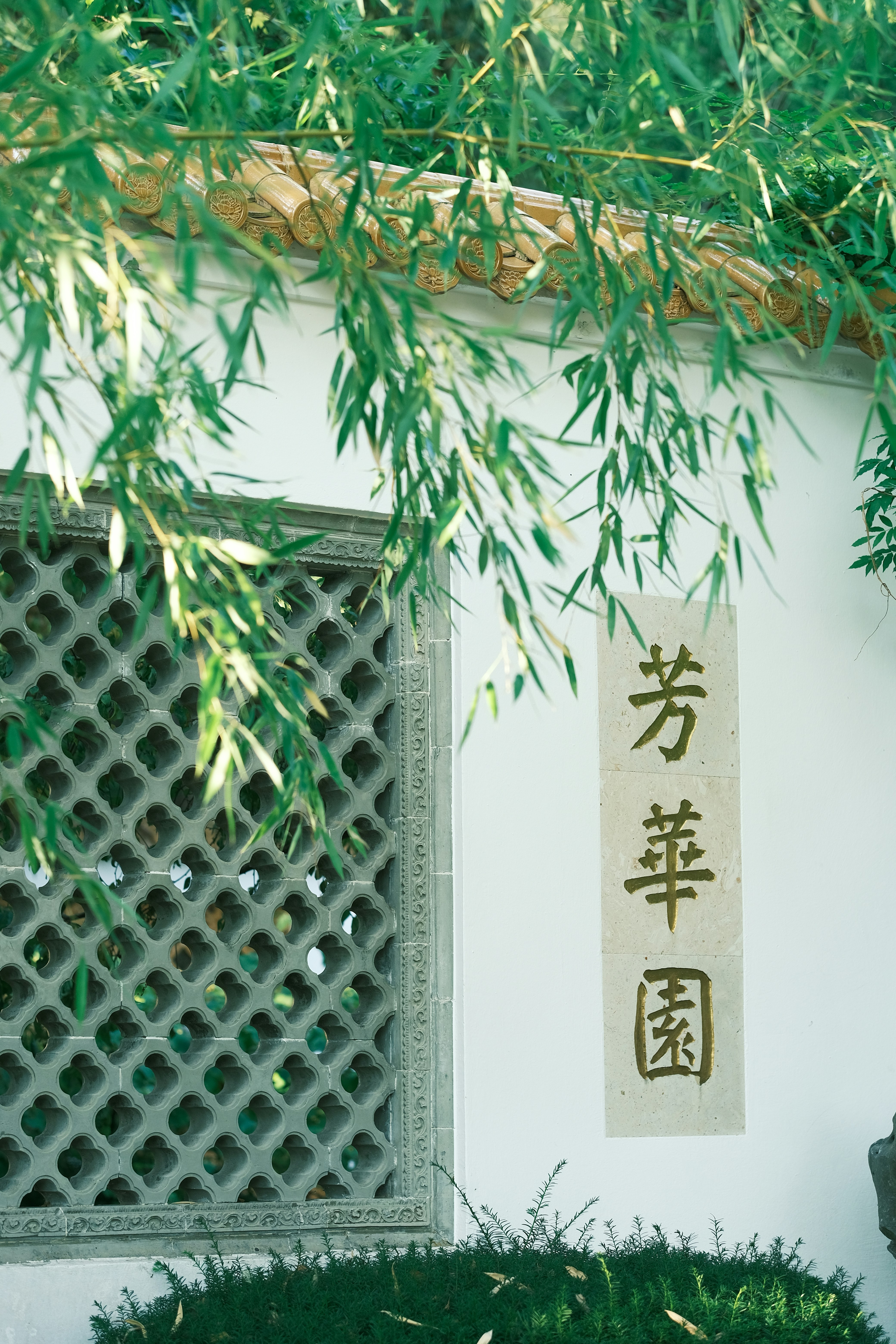 a sign on a wall with a tree in the background