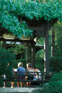 Guests seated on wooden benches surrounded by lush forest, smiling and enjoying the celebration.