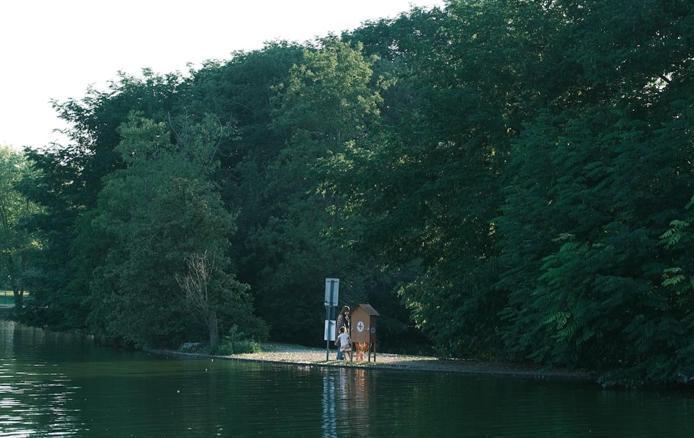 a horse is standing on the edge of a body of water