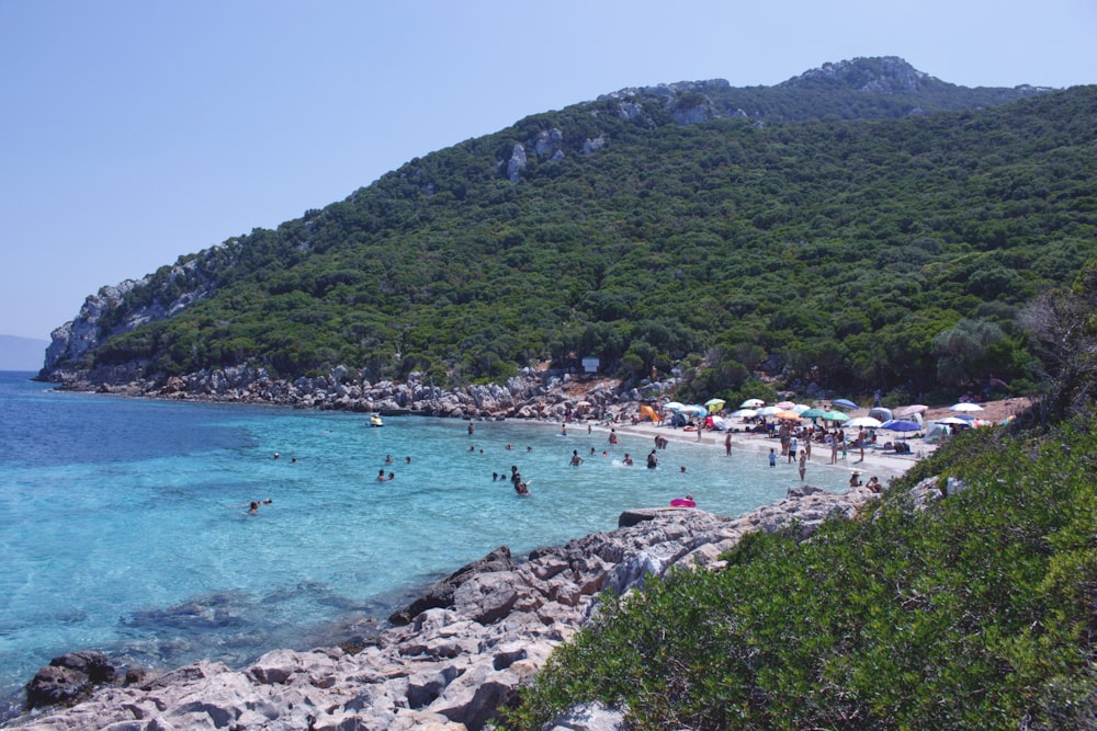 a group of people swimming in a body of water