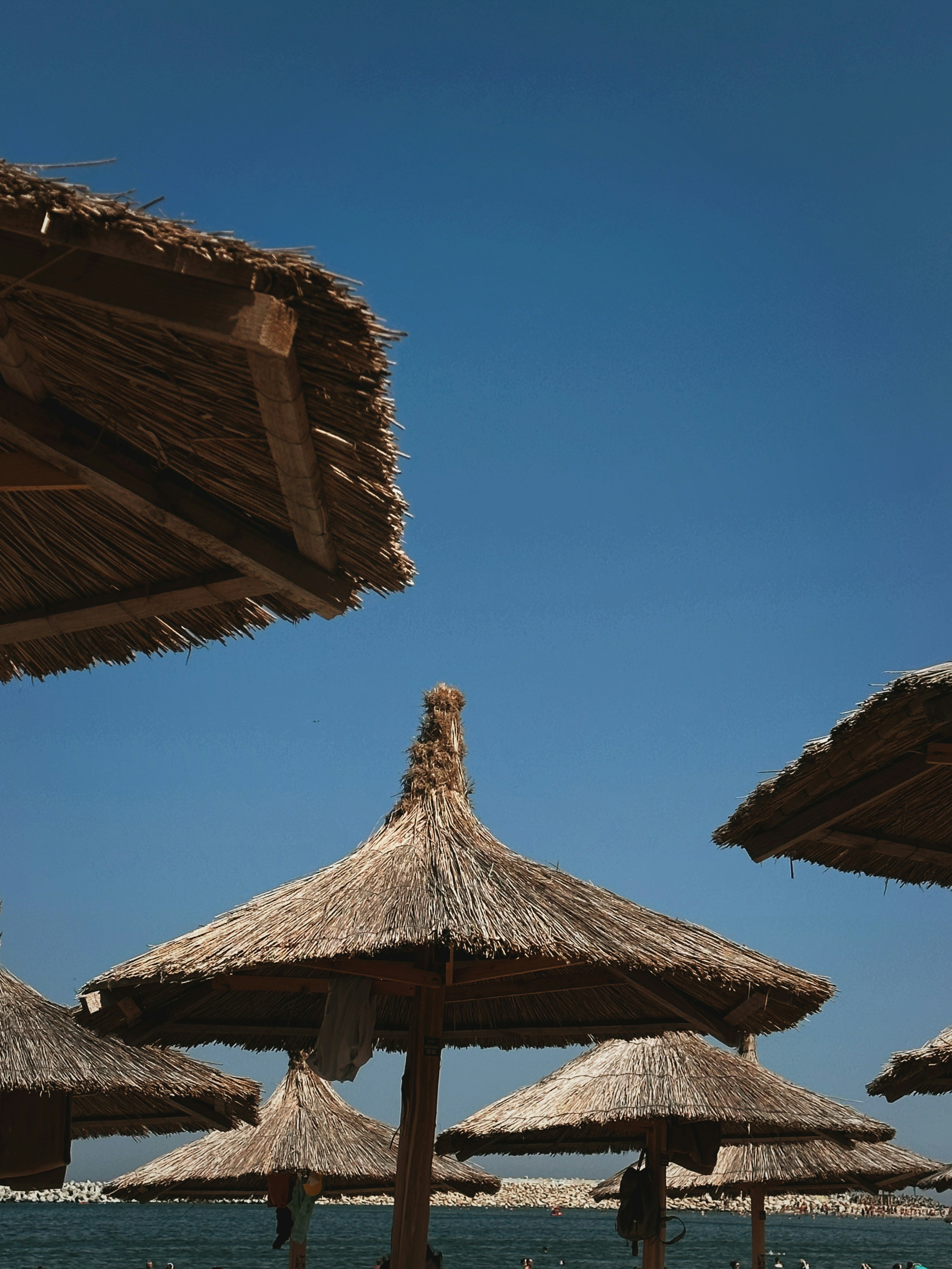 Photo by alexandraleru