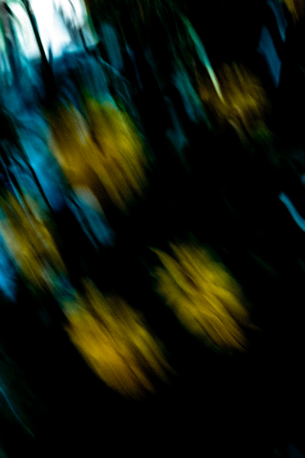 a blurry photo of trees with yellow leaves