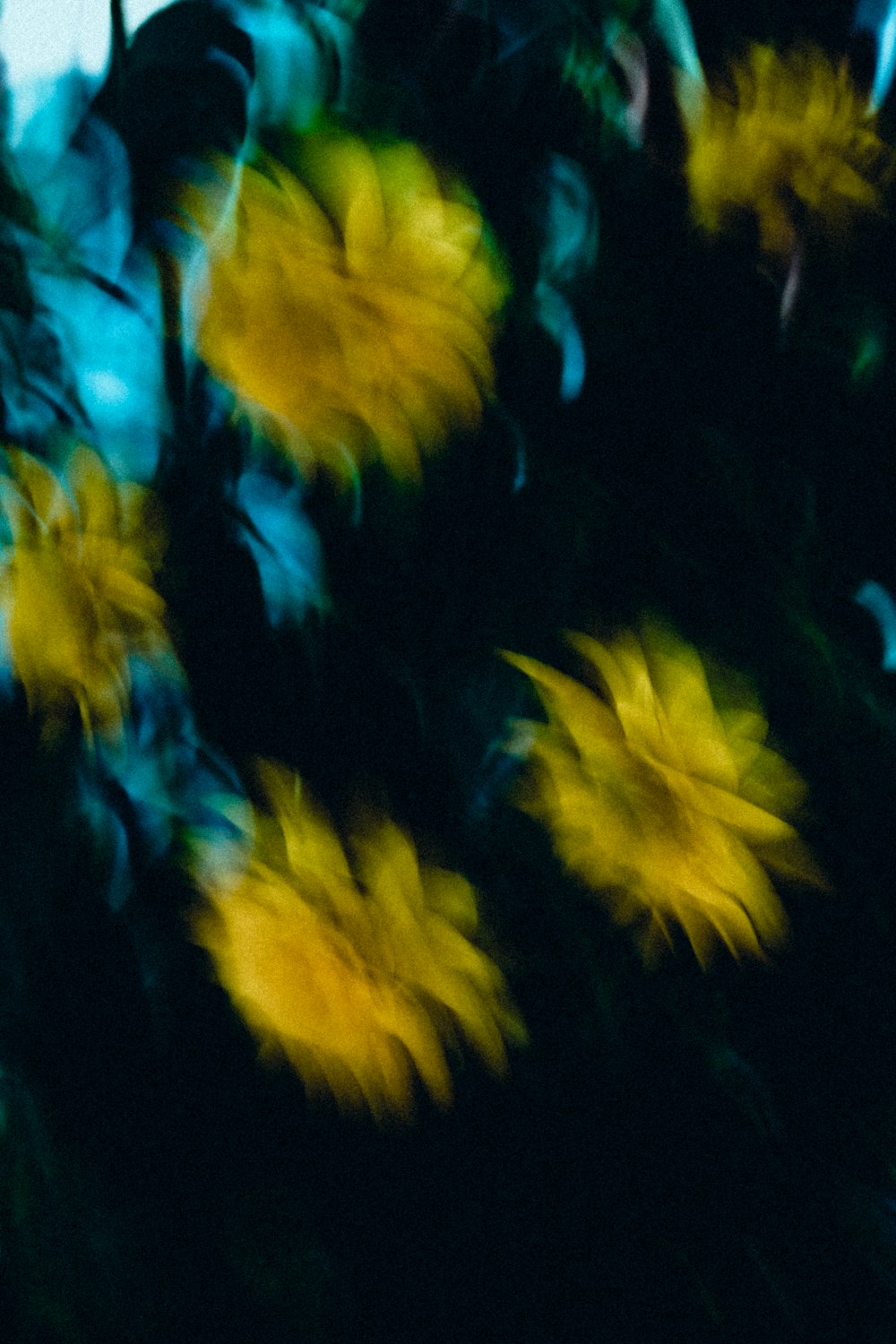 a blurry photo of yellow flowers on a black background