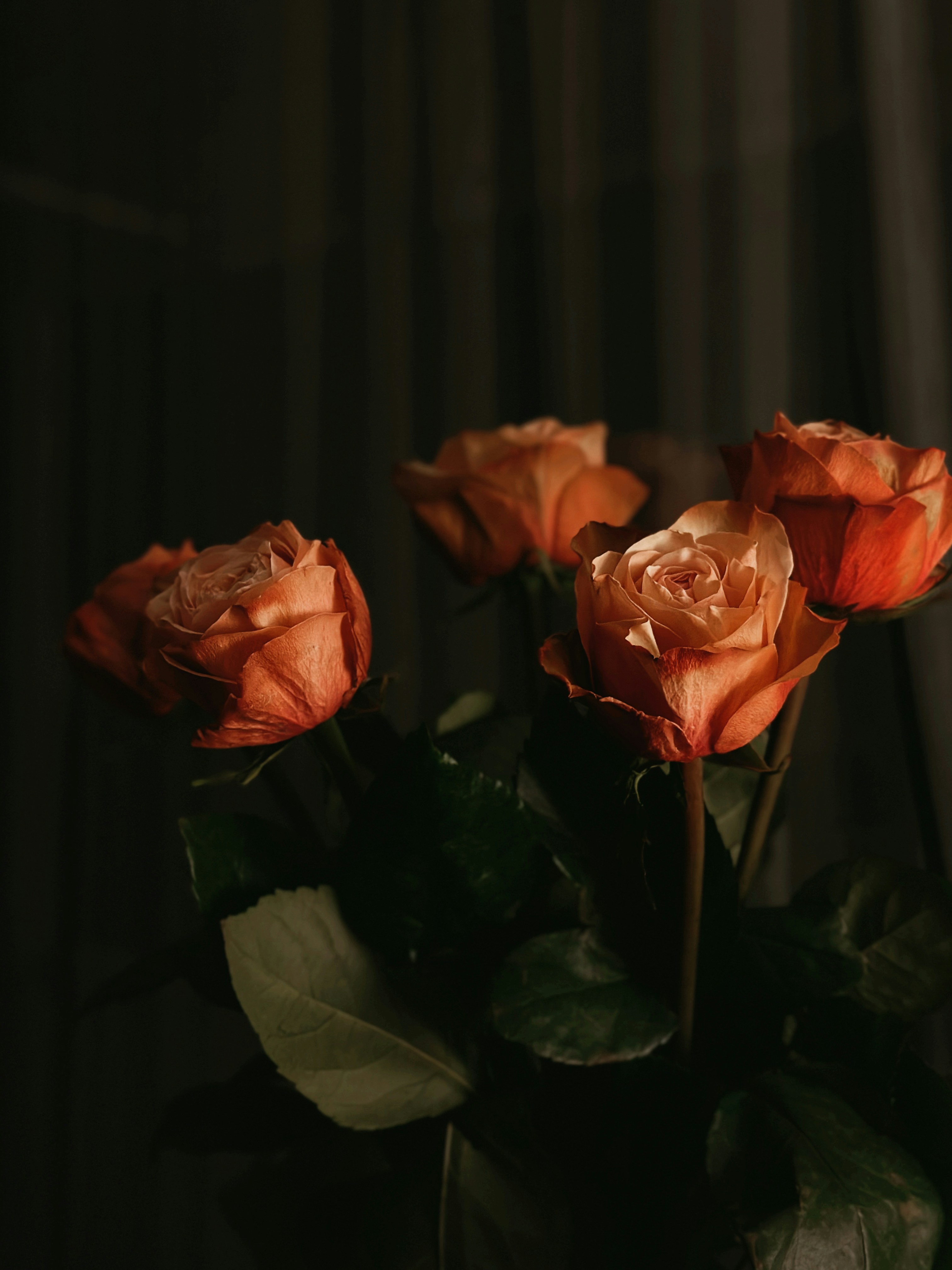 Photo by alexandraleru