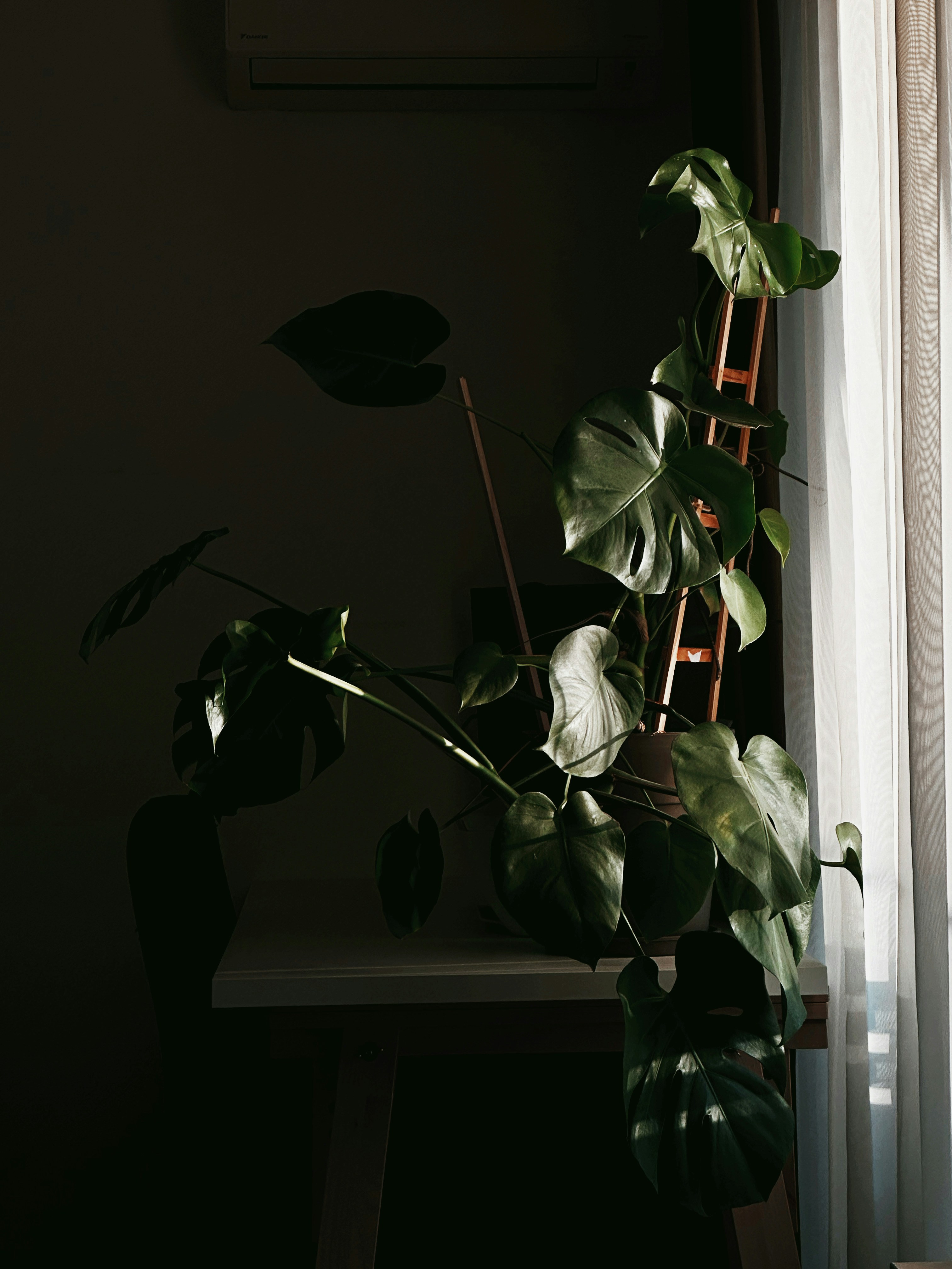 Photo by alexandraleru