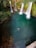 A serene natural pool features a person floating peacefully on their back in the center, surrounded by lush greenery and multiple cascading waterfalls. The surrounding rocks and trees add to the tranquil and natural setting.