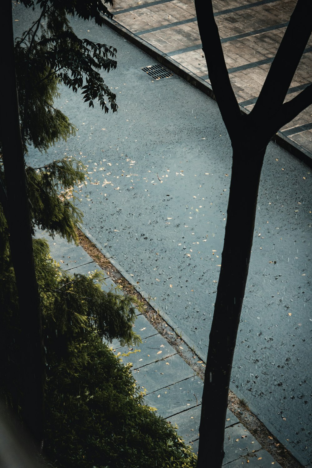 a person walking down a street next to a tree