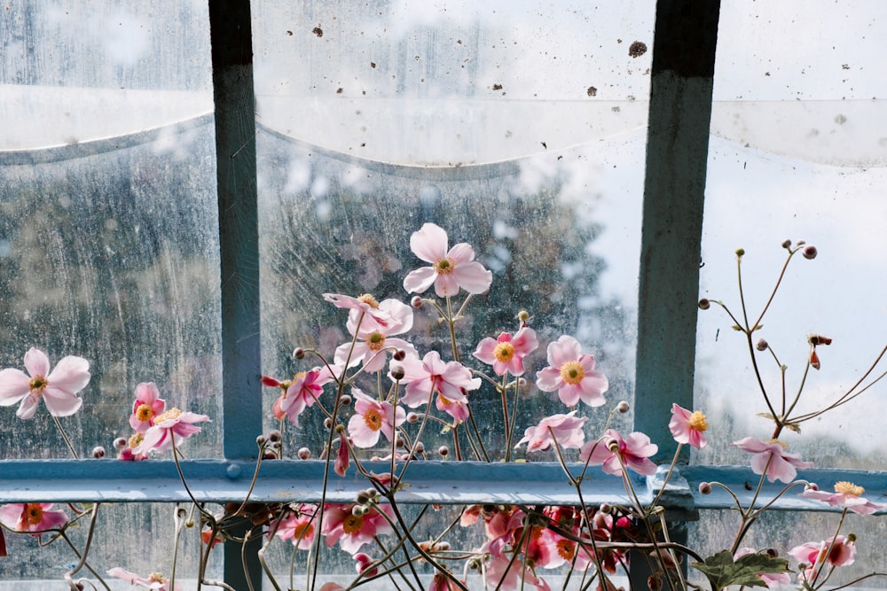 a window with a bunch of pink flowers in it