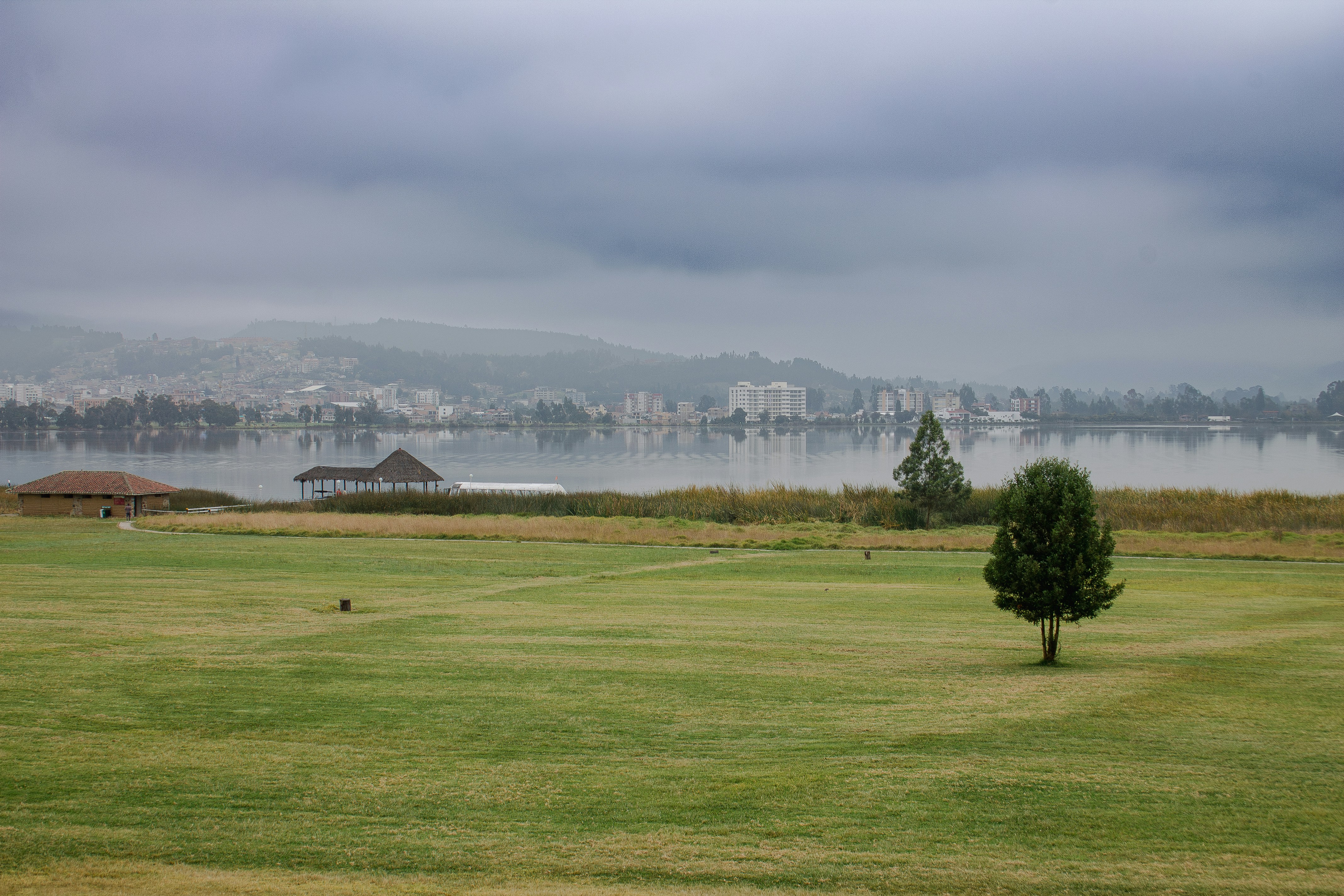 a large field with a tree in the middle of it