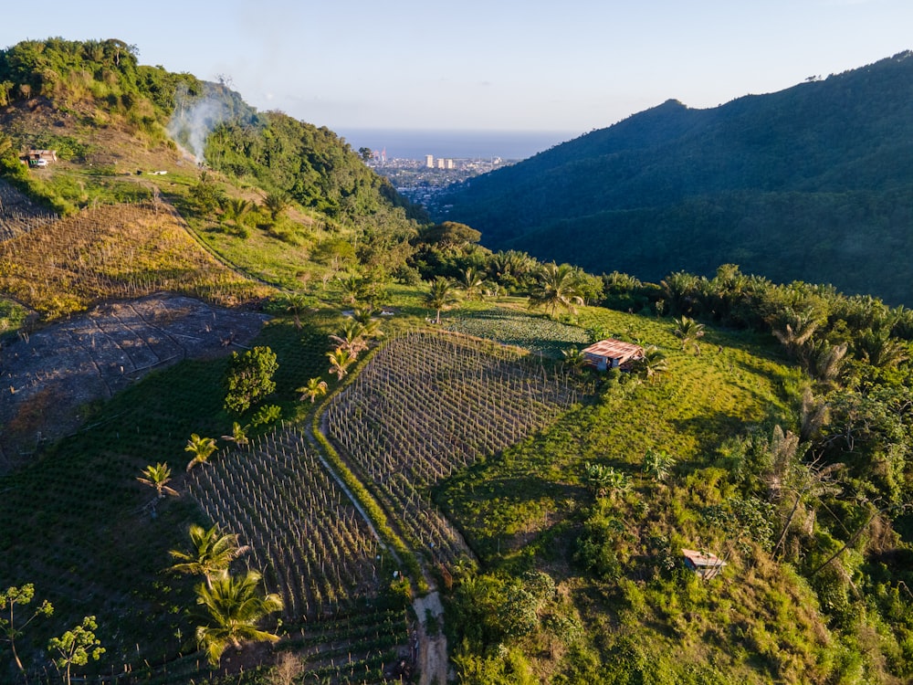 an aerial view of a farm in the mountains