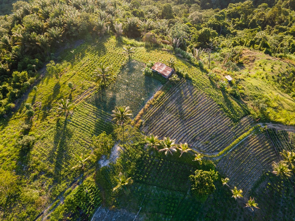 an aerial view of a house in the middle of a forest