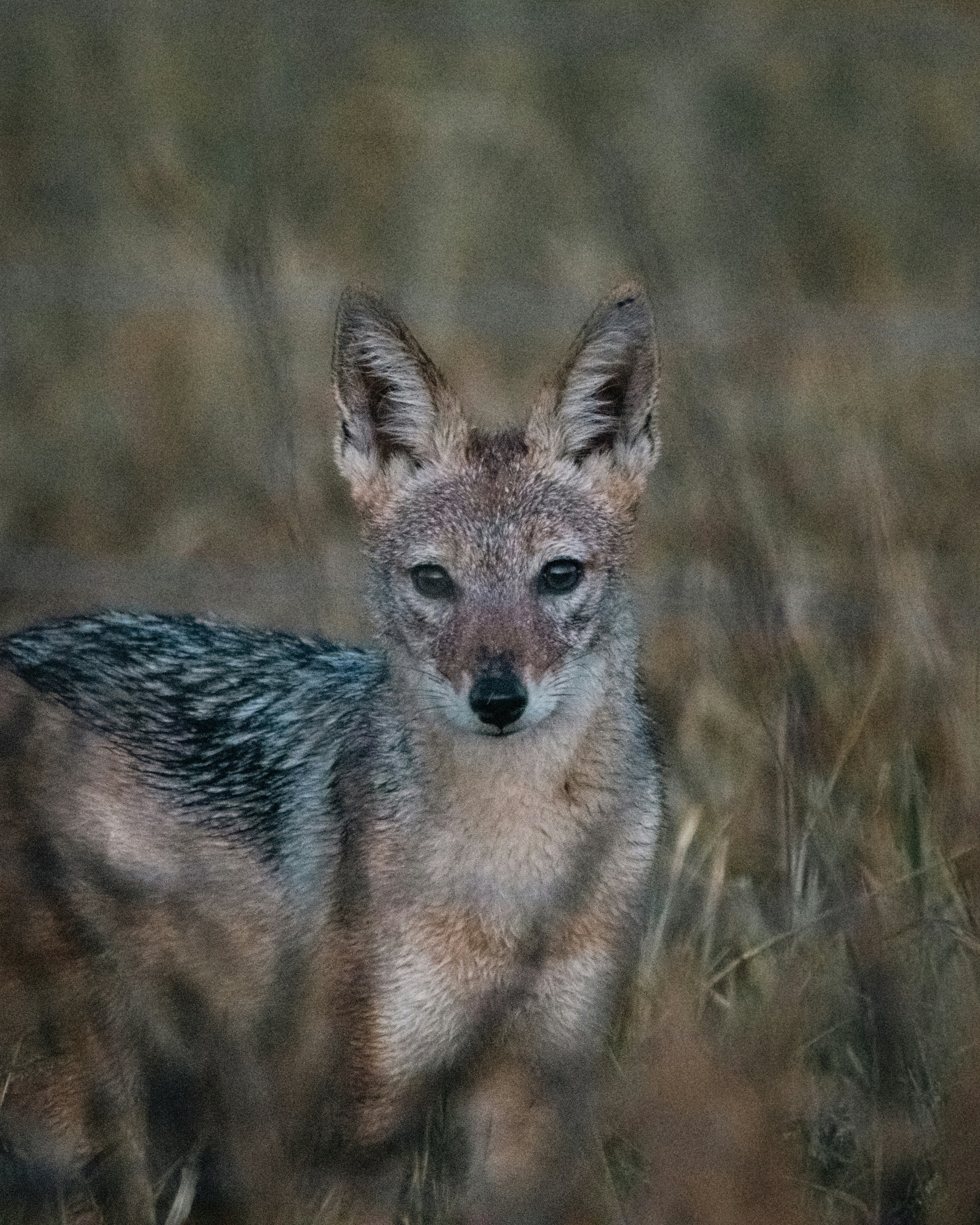 Photo by asherpardey