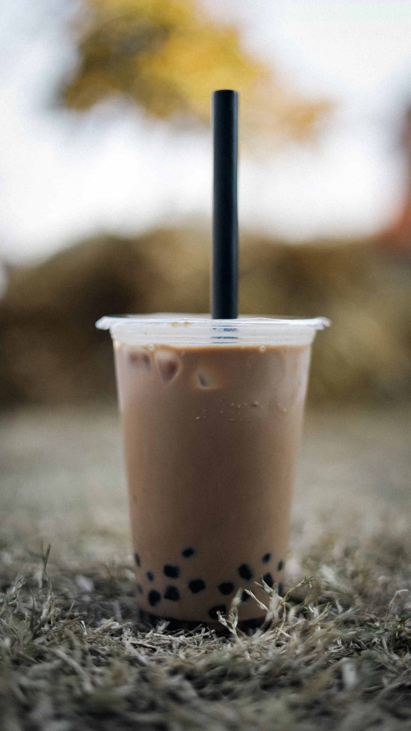 A clear cup of iced milk tea with pearls and a straw sitting on grass outdoors