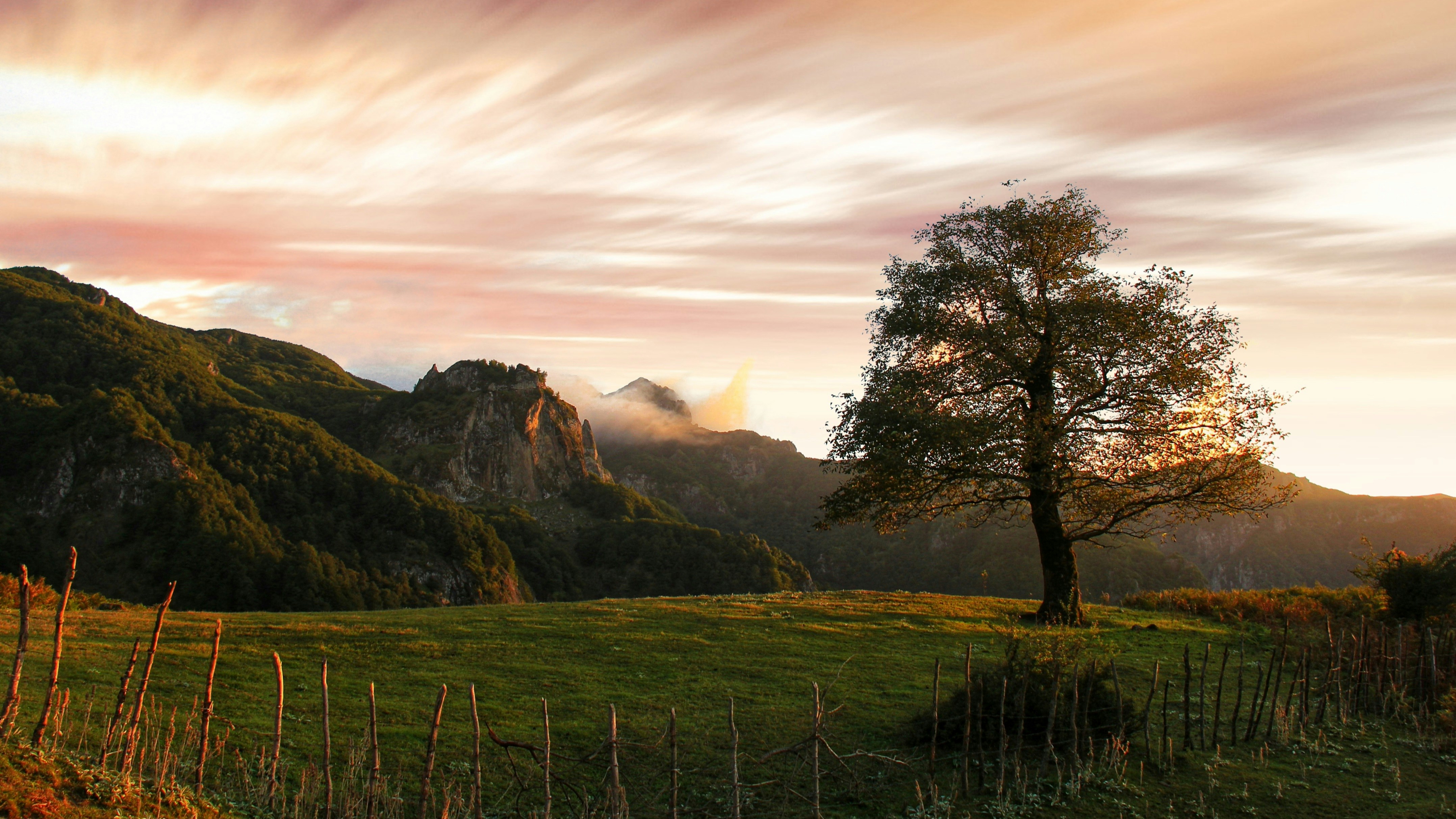 Photo by moradimaghsoud