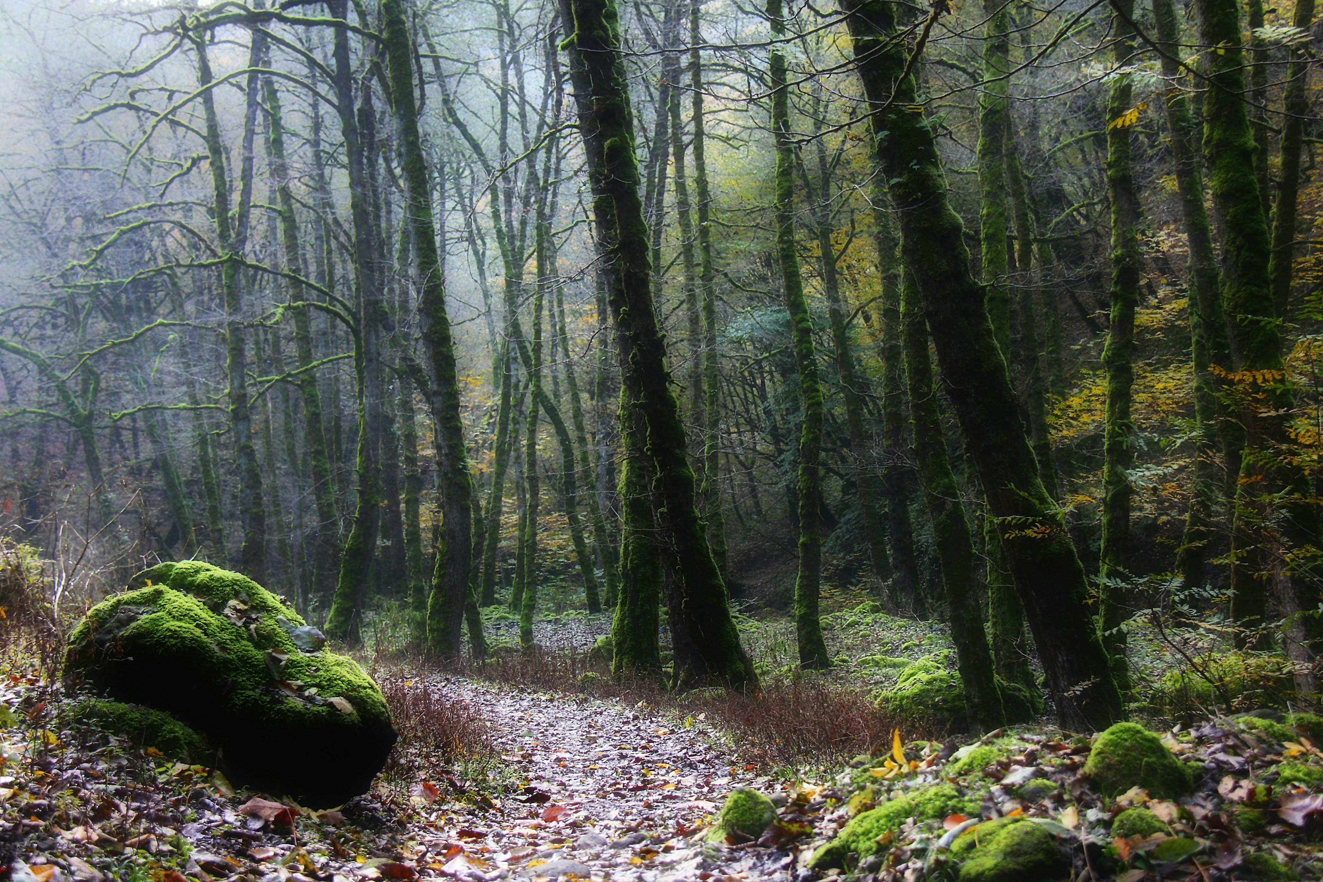 Photo by moradimaghsoud