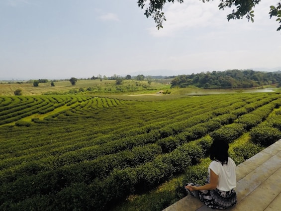 Edward sipping tea in a serene Chinese tea garden surrounded by lush green hills.