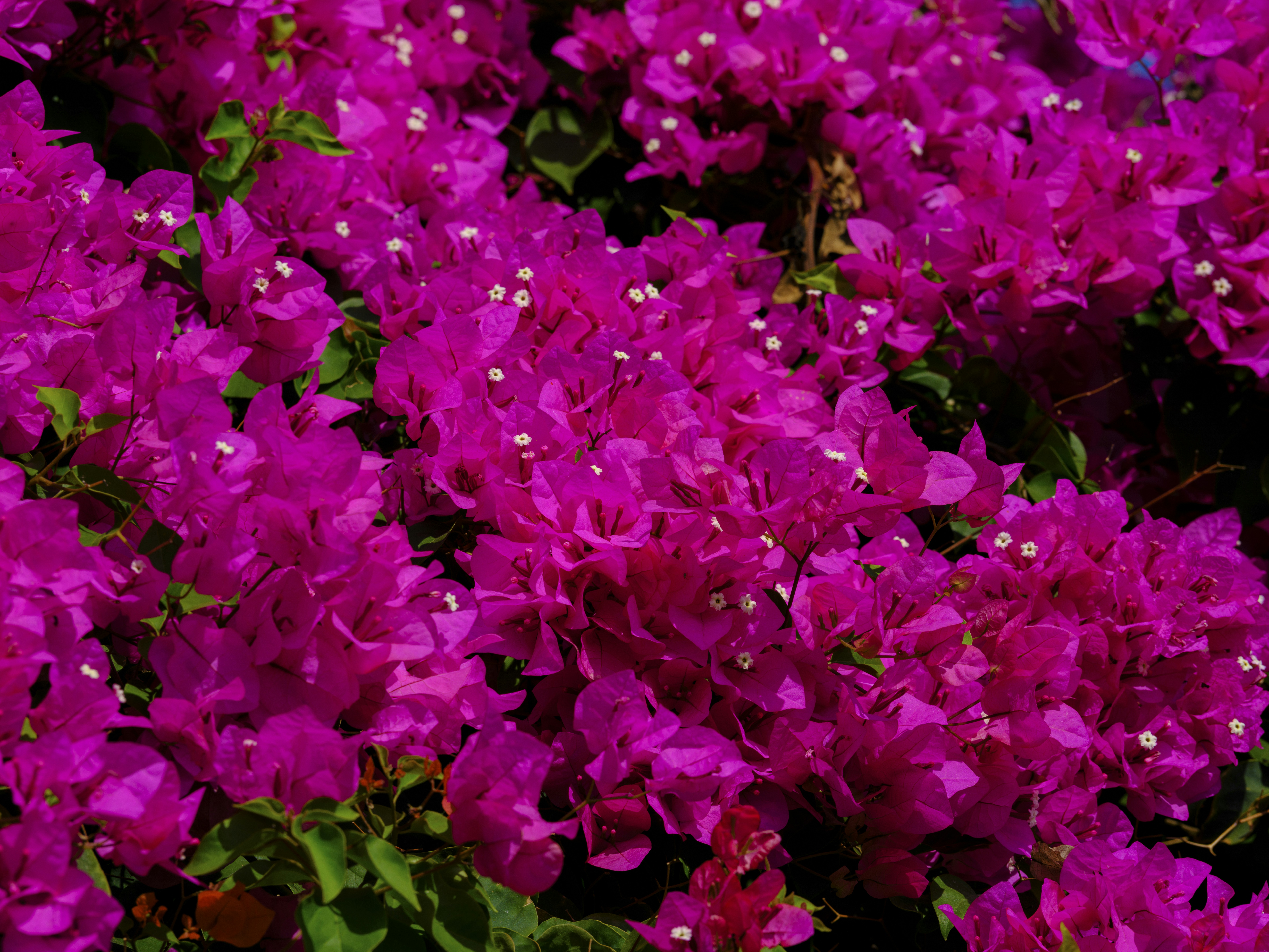 Photo by enginakyurt