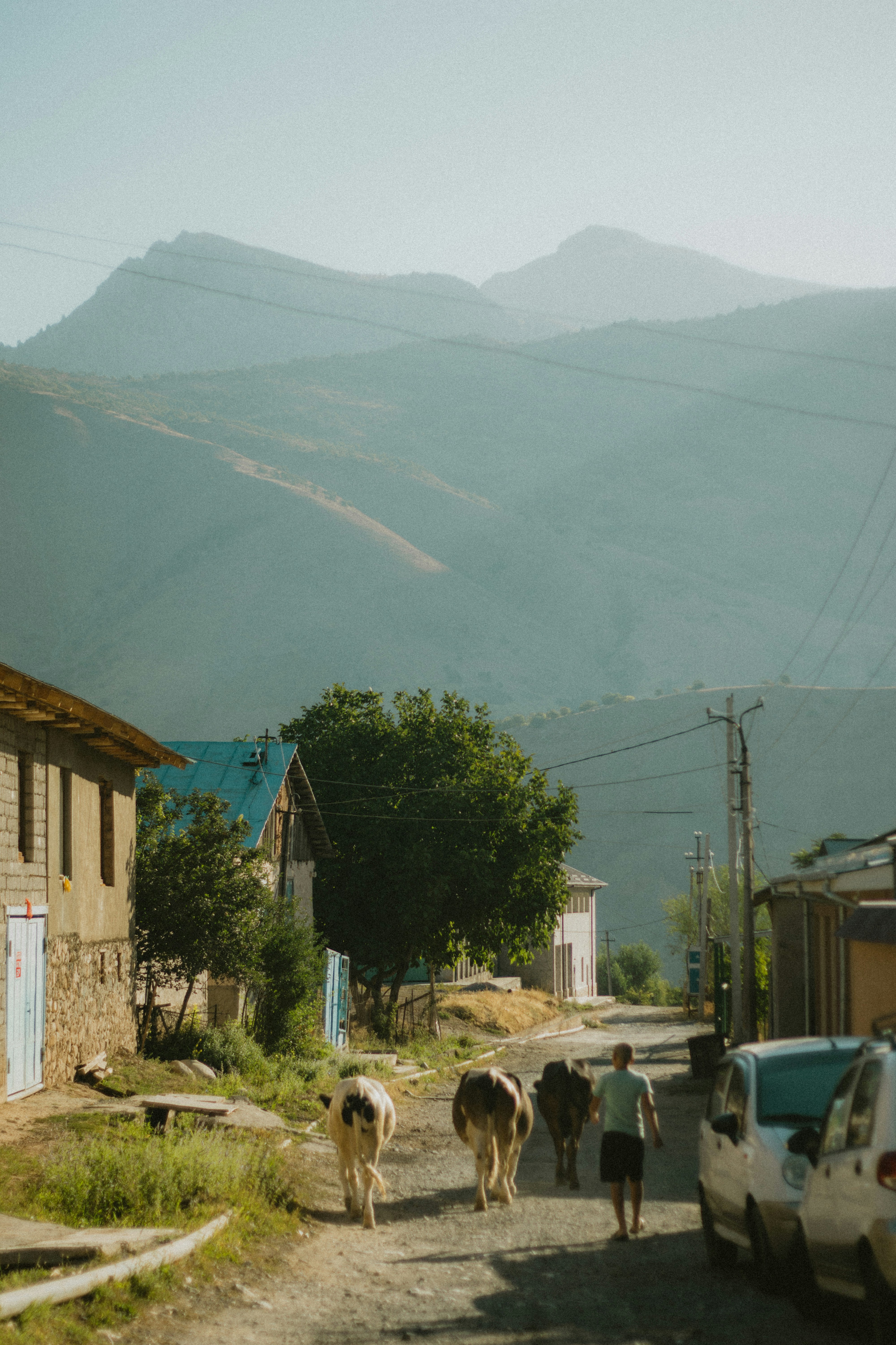 Photo by semirkhanovv