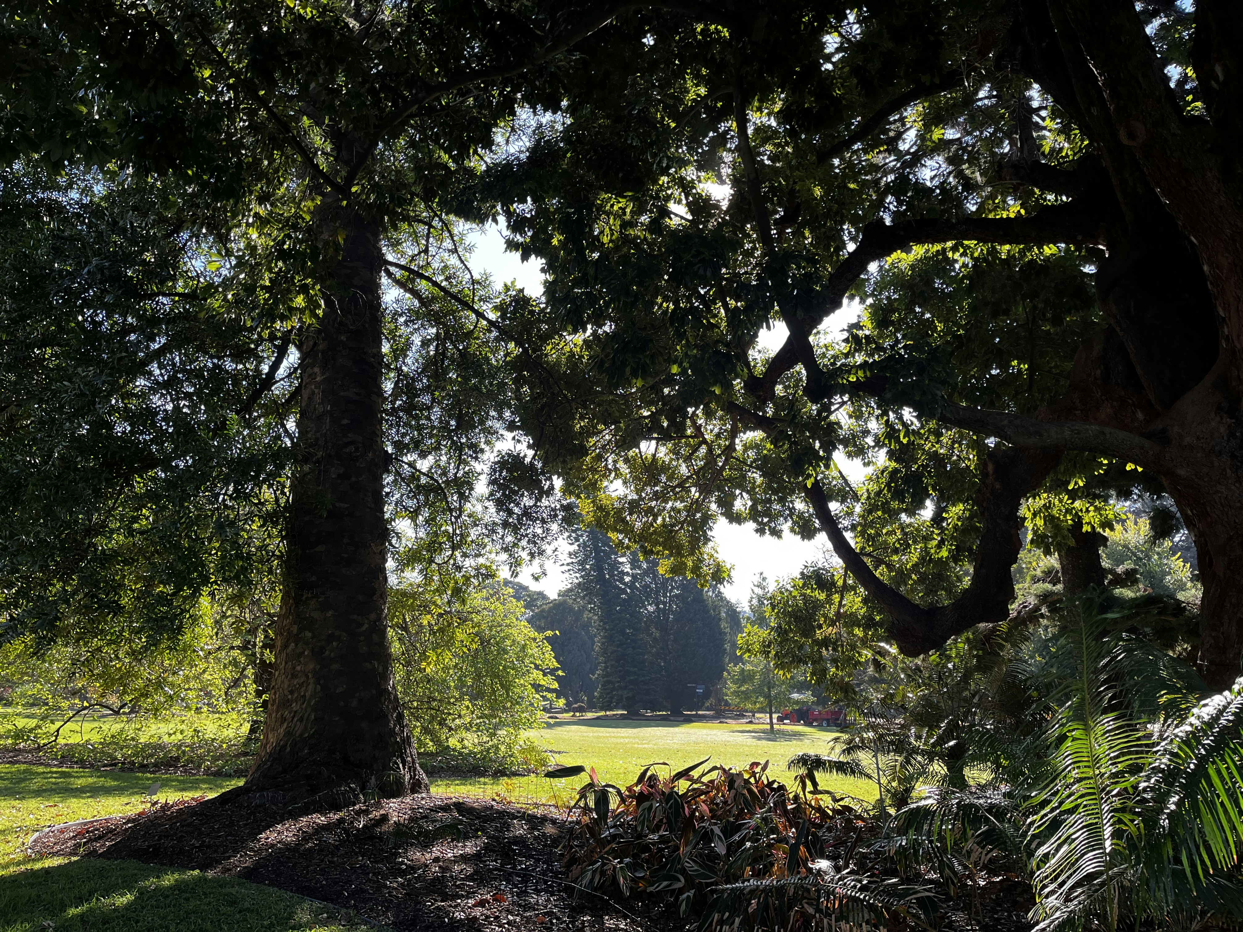 Photo by pierrehenry