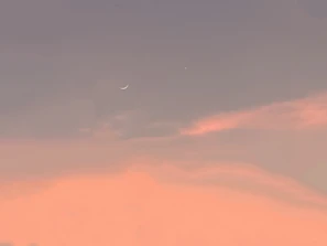 A charming cartoon portrait of Ziv sleeping peacefully under a blue moonlit sky