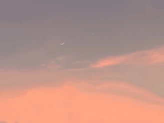 A charming cartoon portrait of Ziv sleeping peacefully under a blue moonlit sky