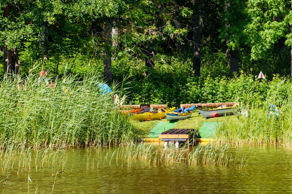 a group of kayaks sitting on top of a lake next to a forest