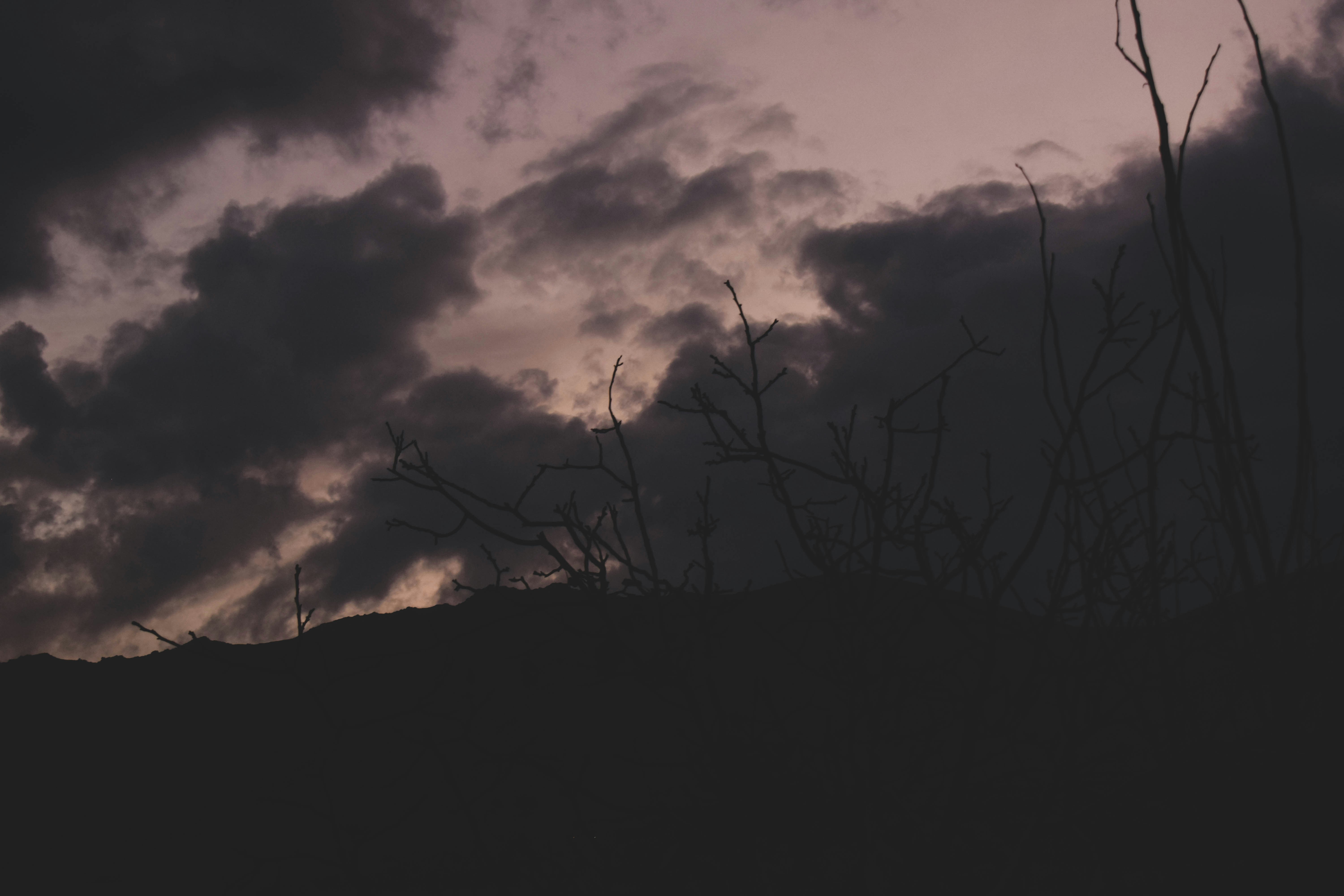 Photo by mehranredrose