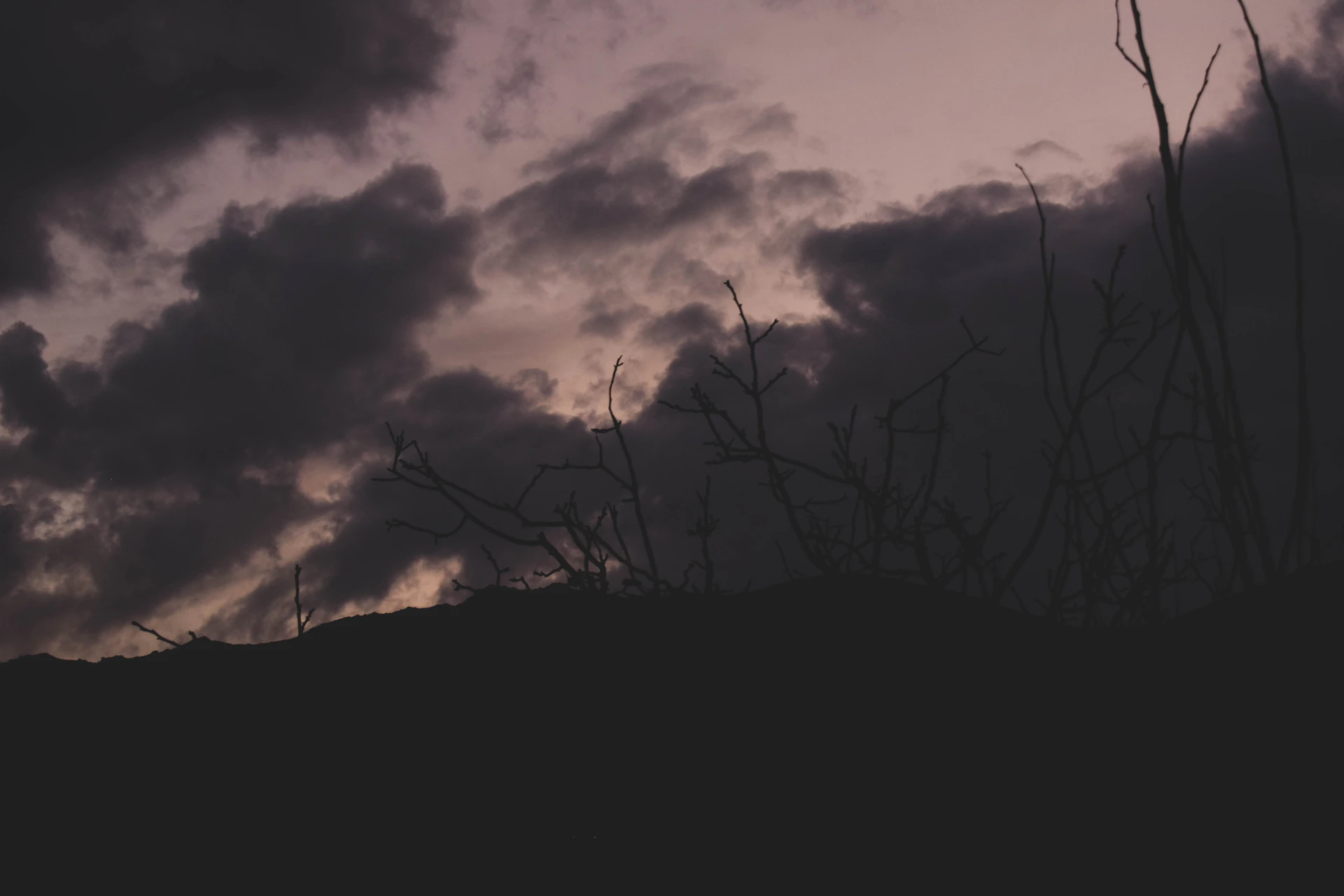 the silhouette of a tree against a cloudy sky