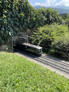 An outdoor shot of model trains running on tracks with natural scenery.