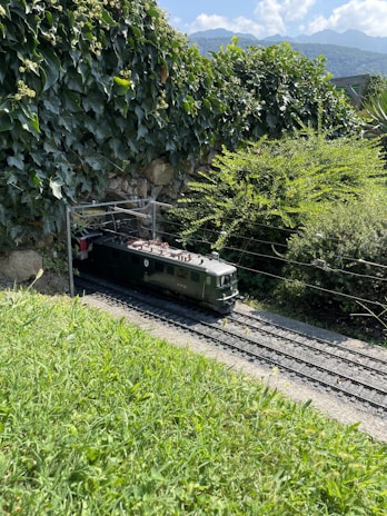 An outdoor shot of model trains running on tracks with natural scenery.