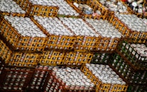 Stacks of neatly arranged beer cartons on pallets in a modern warehouse.